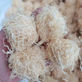 ZHU RU Natural Bamboo Shavings Ball CAULIS BAMBUSAE in TAENIA for Sale
