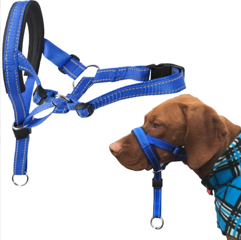 Wholesale Nylon Dog Head Halter No Pull Training Tool with Soft Padding and Safe Strap Sustainable Dog Headcollar