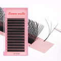 Volume Eyelash W V YY Shape Extension False Eyelashes 3D 4D 5D 6D W Lashes Private Label Mink Individual Eyelashes Extensions