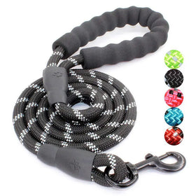 Hot Selling Upgraded Version Strong Reflective Eco-Friendly Solid Lace Trimmed Nylon Dog Traction Braided Climbing Leash
