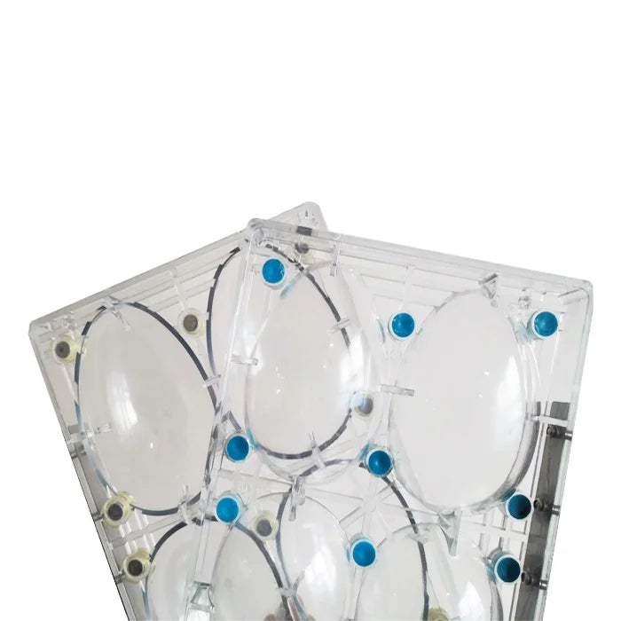 New Custom Polycarbonate Molds for Chocolate  PC Candy Chocolate Mold Egg Shape Chocolate Mold
