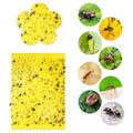 Hot Selling Plastic Solid Dual-sided Sticky Traps Eco-Friendly Fly Catcher for Outdoor & Indoor Use with 12 Packs