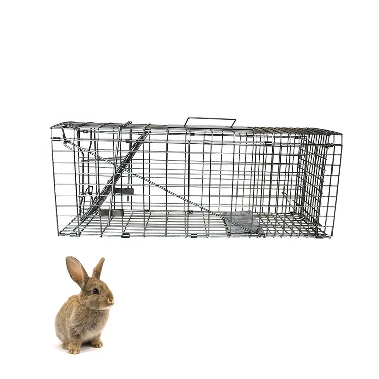 Wholesale JingLong Solid Eco-Friendly Live Coil Spring Steel Collapsible Silver Trap Cage for Home Perimeter Use Wild Control