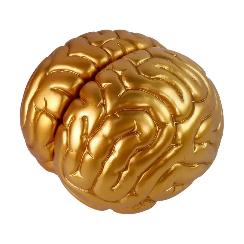 Gold Resin Brain Bookend Set with Realistic Convolutions Intellectual Office Desk Organizer for Book Lovers