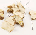 Wholesale Natural Raw UBI JAGA Man Whole Raw UBI JAGA Root for Strong Tea