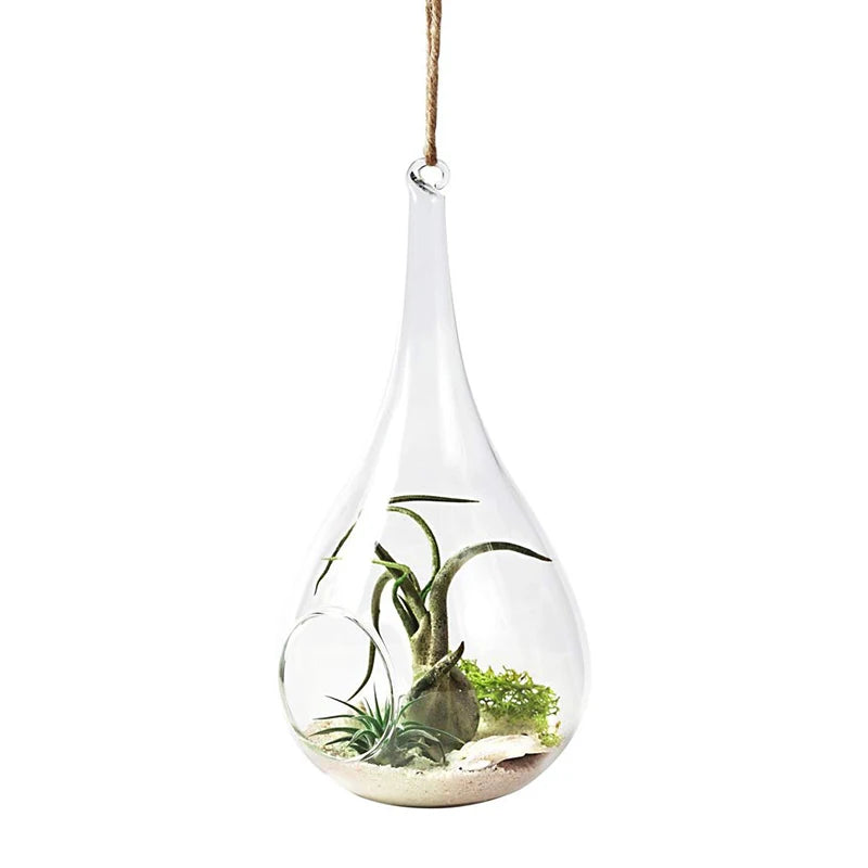 Hanging Teardrop Glass air Plant Terrarium Home Flower Plant Vase Decorations for Candles