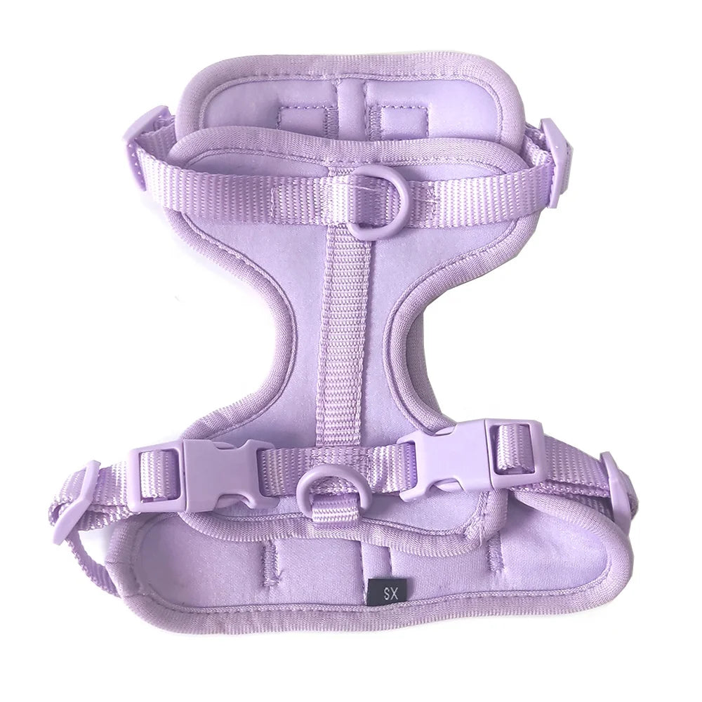 MiaPeta No Pull Dog Harness Adjustable Soft Mesh Padded Dog Vest With Rubber Lease for Small Medium Large Large Dogs