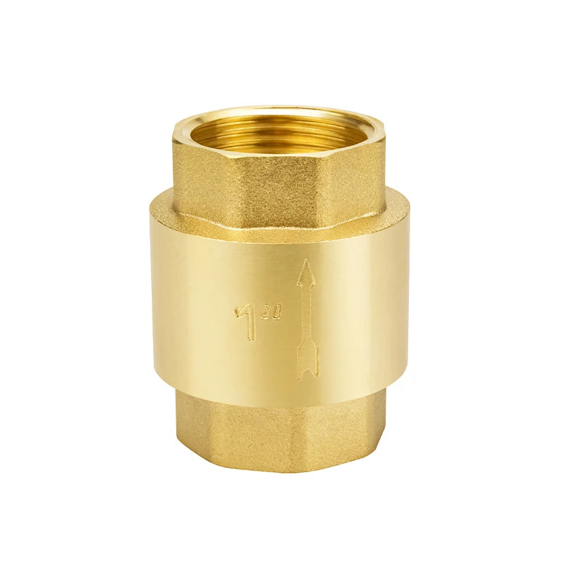 TMOK Female Thread DN25 1" Brass Lift One Way Valve Non-return Spring Loaded Check Valve