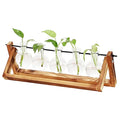 HOT Bud Glass Planter Desktop Plant Terrarium Glass Vase for Indoor Hydroponics Water Plants Home Garden Office Decoration