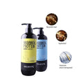 Private Label Delofil Wholesale Professional Hair Care Set Sulfate Free Shampoo Organic Argan Oil Shampoo and Conditioner