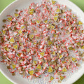 1kg Artificial Pizza Cookie Biscuit Bead Polymer Colorful Craft Tiles For Custom Designs