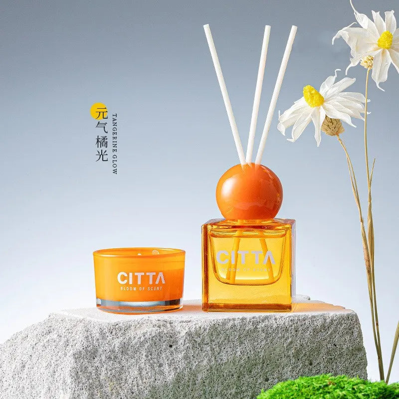 Aroma Essential Oil Reed Diffuser Aromatherapy Home Fragrance Diffuser Gift Set for Home & Office