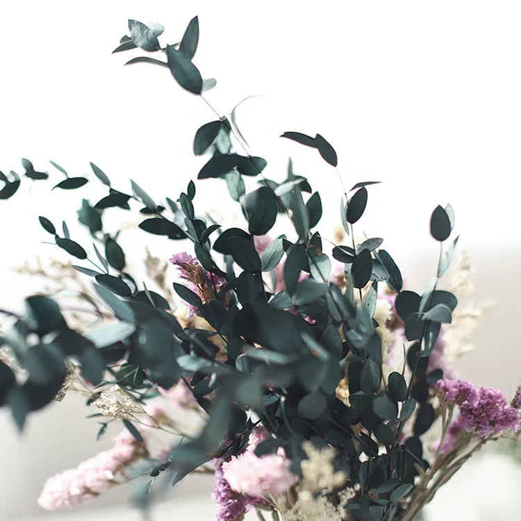 Wholesale Real Mint and Preserved Eucalyptus Leaves for Valentine's Day-Natural Real Touch