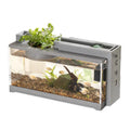 Fishbowl Best Size Decoration Plants Setup Filter Maintenance Fish Species Cleaning Water Conditions Garden Aquarium Lid