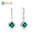 Iced Out Cubic Zirconia Square CZ Crystal  Earrings Sterling Silver Hypoallergenic High Carbon Diamond Drop Hook Earrings