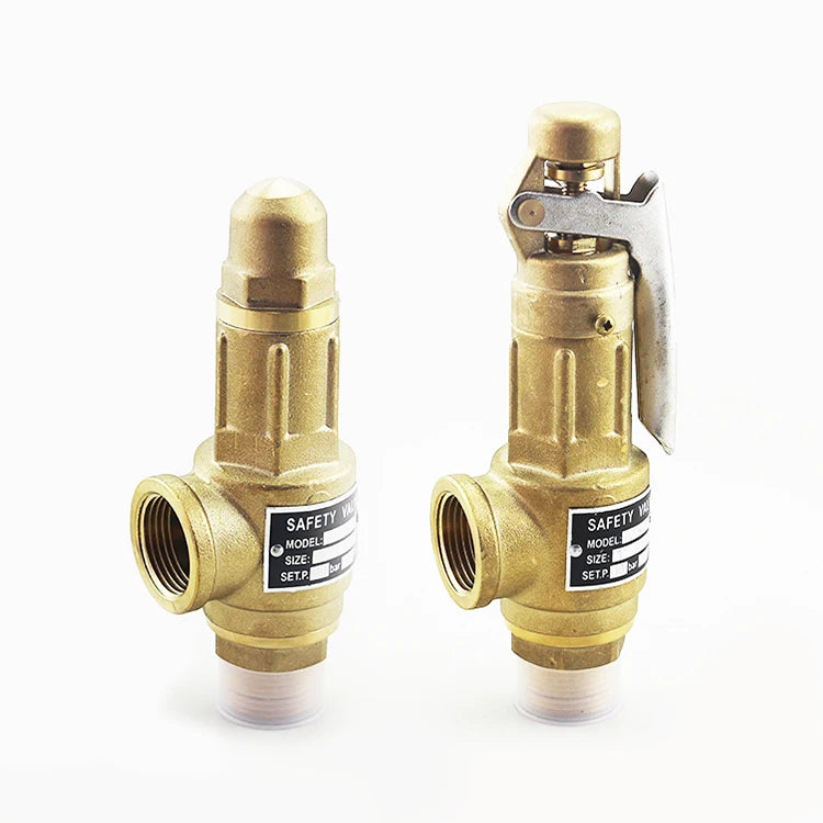 Brass Steam Boiler Pressure Spring Loaded High Pressure Air Compressor Gas Safety Valve Pressure Brass Safety Relief Valve MegaBDM