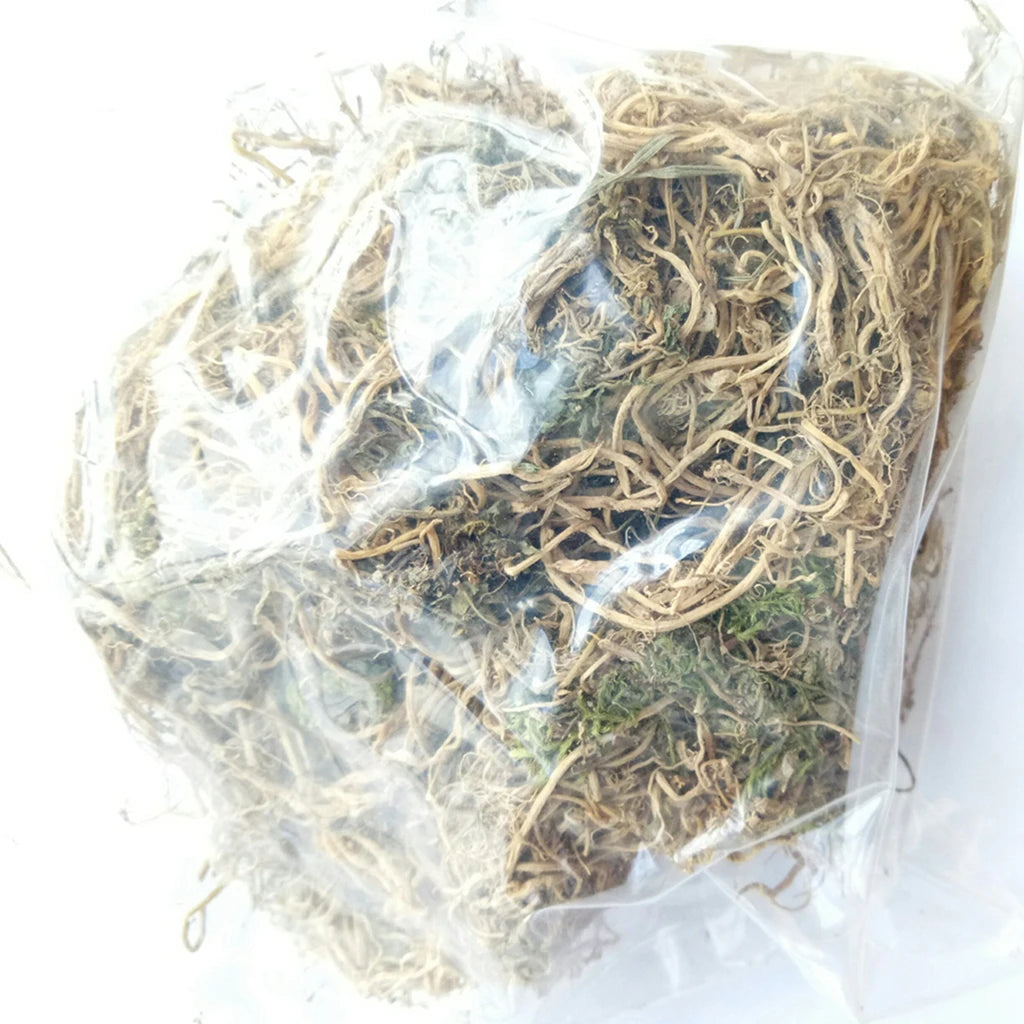 Natural Cheap Price Dried Lobelia Plant Cut Lobelia for Sale