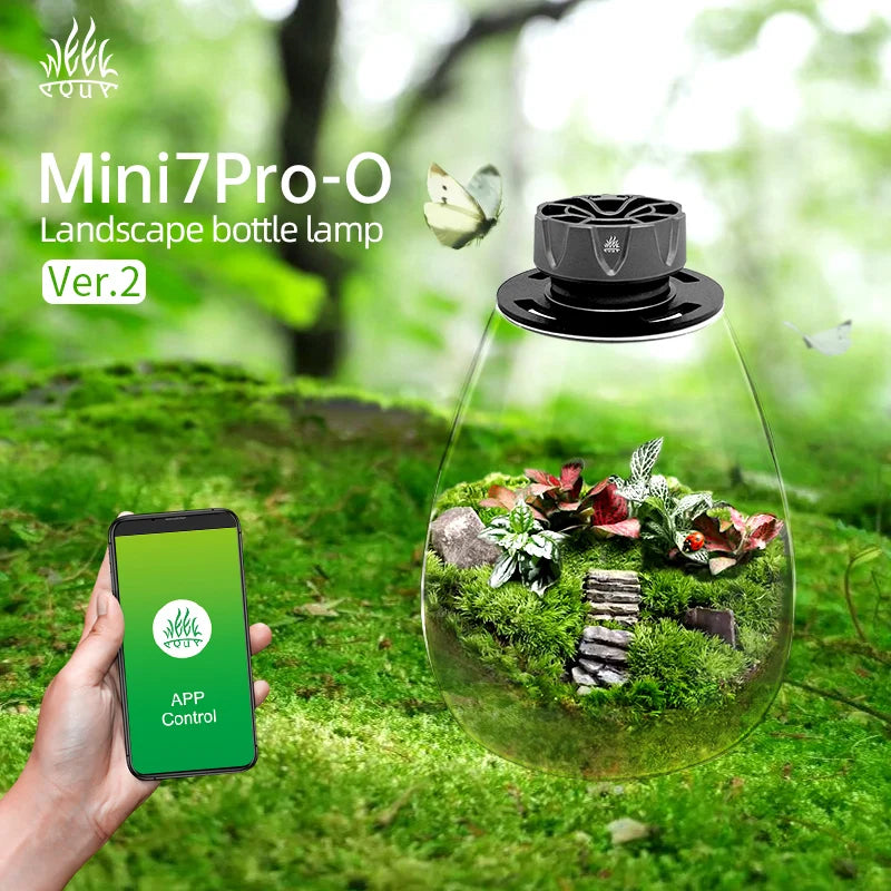WEEK AQUA Bryophyte Light Ecological Glass COB LED Bottle Microlandscape Lamp Desktop Light for Micro-Landscape Lighting