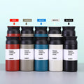 350ml Water Drinking Bottle Stainless Steel Insulated Tea Cup Tea Mug with Infuser Lid Japanese Korea Style Tea Flask
