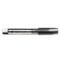 T Type Hand Screw Thread Taps Drill Kit M3 M4 M5 M6 Set HSS Titanium Machine Tap for Factory Tapping Machine