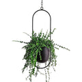 Modern Stylish Garden Decoration Hanging Flower Basket Metal Wall Decoration Iron Frame Hanging Flower Pots