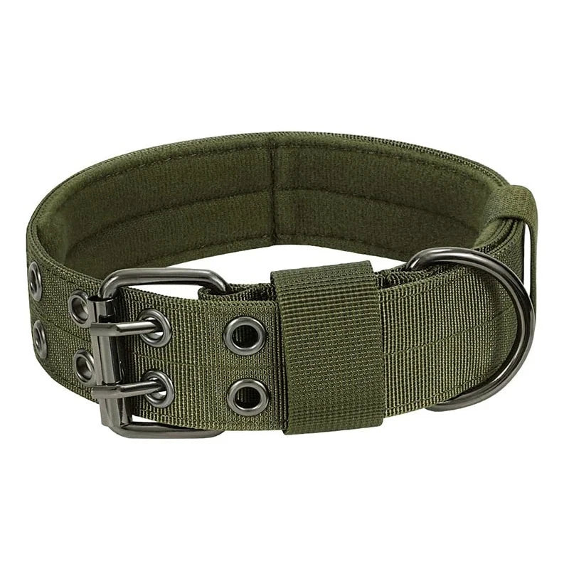 OEM Customized Manufacturers Personalized Heavy Duty Padded Reflective Training Adjustable Nylon Dog Collars & Leashes