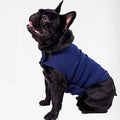 Top Seller POPULAR Dog Anxiety Jackets Clothes Anxiety Vest Pet Dog Clothes
