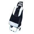 Wholesale Modern 2 Wheel Foldable Shopping Cart Portable Grocery Trolley Supermarket Luggage Container Folding Cart Bag
