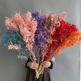 Yunnan Bestselling Dried Flowers Preserved Flower Dried butterfly Flowers Freesia Iris Japonica for Home Decor and Mother's Day