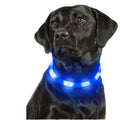 USB Charging PVC LED Luminous Simple Classic Dog Collar with LED Glowing Bead High-Visibility Night Safety
