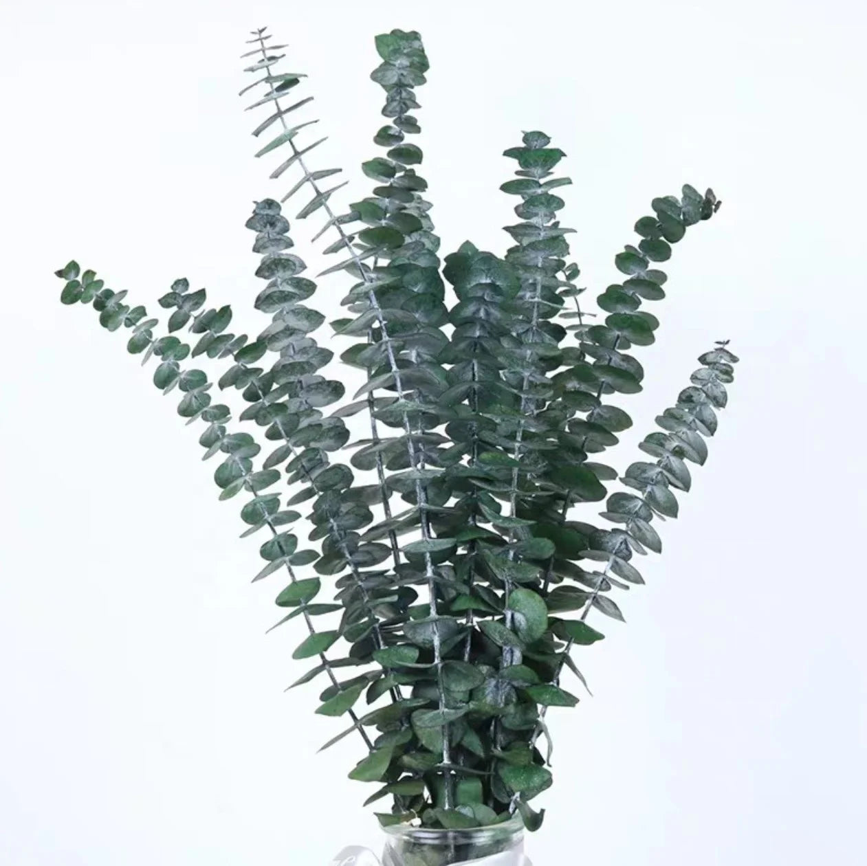 Natural Preserved Eucalyptus Leaves Dried Leaf Real Touch for DIY Wedding Party Bouquet Decoration