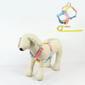 Factory Spot Promotion Colorful Pet Harness Leash with Light Dog Harness Dog Leash Luxury