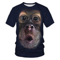Fitspi Cartoon Summer New 3d Digital Printing Stylish Round Neck Men and Women T-shirt T Shirts