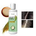 OEM 250ml Factory Wholesale Fermented Rice Water Shampoo Refreshing Nourishing Natural Hair Treatment Rice Water Hair Care