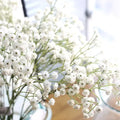 Wholesale Artificial Gypsophila Flower for Wedding Table Scene Landscaping Decoration Flower Arrangement Supplies