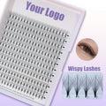 Promade Wispy Fans Lashes Pointy Thin Base Individual Lash Extensions Super Soft Pre-Fanned Eyelashes
