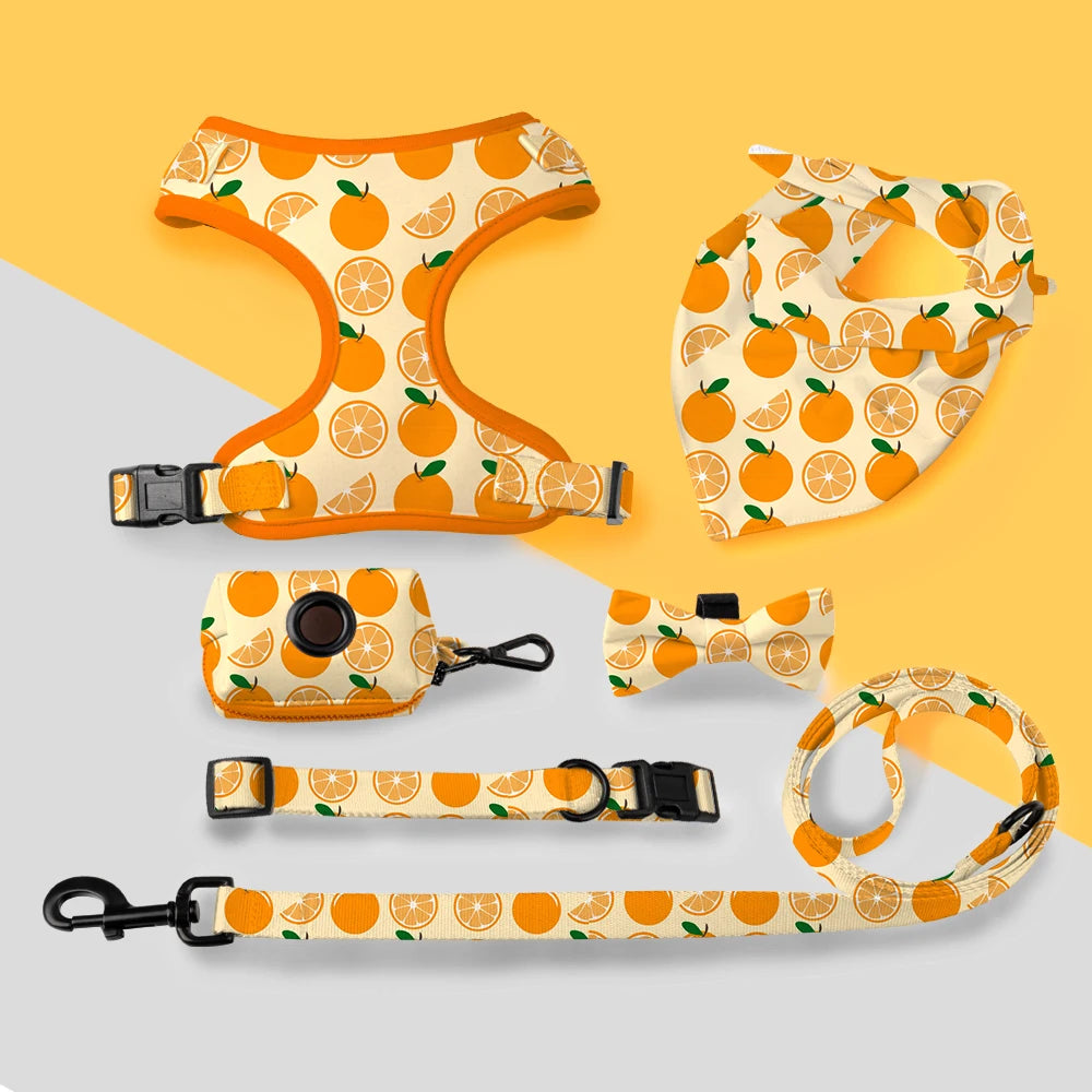 Personalized Easy Printing Premium Adjustable Mesh Waterproof Walk Small Neoprene Step in Dog Harness Set With Poop Bag Holder