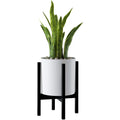 Modern Indoor Tall Metal Plant Stand Flower Pot Holder & Plants Display Rack Stylish Indoor Garden Stand