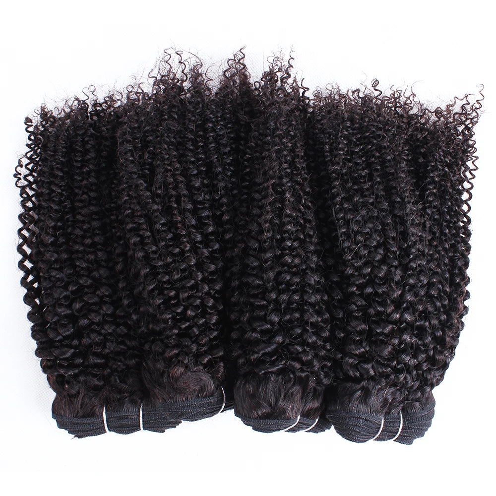 Mink Brazilian Hair  Kinky Curly Wigs for Black Women  Wholesale Price  Brazilian Human Hair Bundles