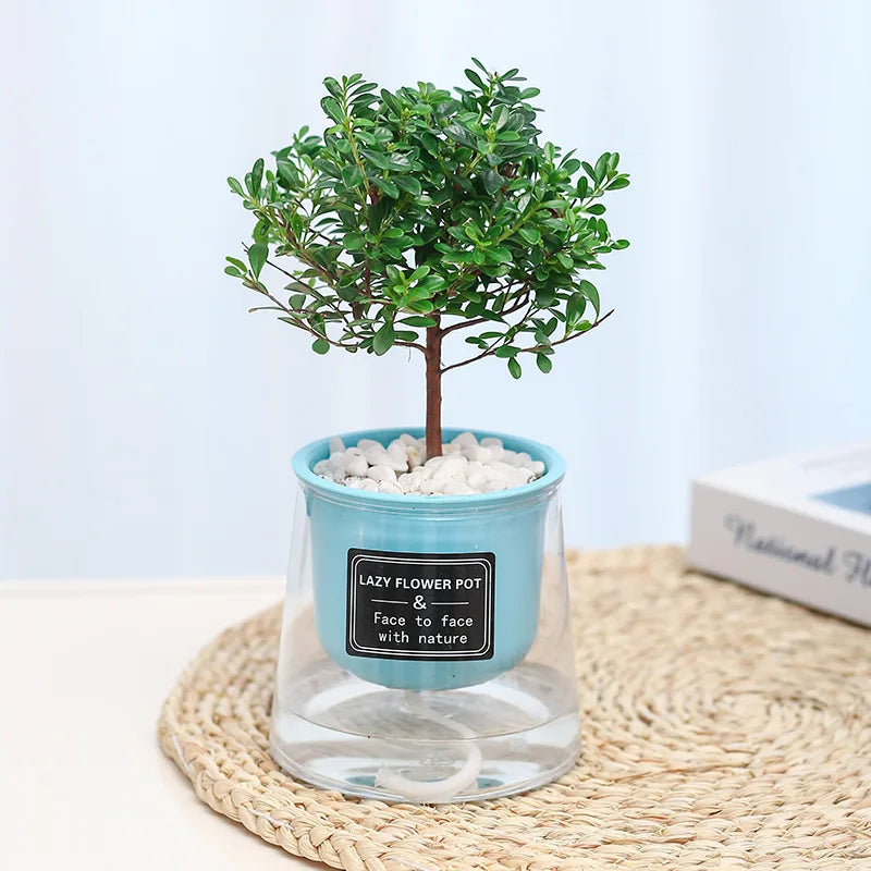 Visible Water Level Garden Flower Planters Self Water for Indoor Plants Plastic Self Watering Plant Pot