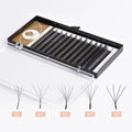 LashPlus New Style W Shape Lash Extension Individual Eyelash Wholesale W Shape Clover Lashes