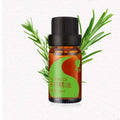 OEM 100% Natural Perfume Oil Pure Plant Extract Long Lasting Tea Tree Essential Oil for Skin Care