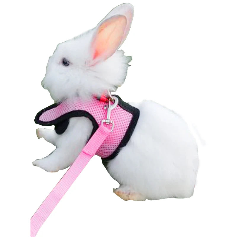 Hamster Ferret Small Animals Vest Harness With Leash Bunny Mesh Chest Strap Guinea Pig Pet Rabbit Vest Harness Bag