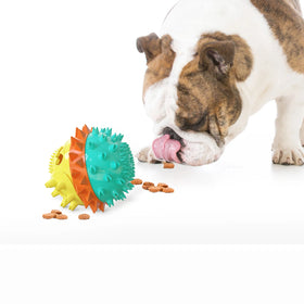 ZMAKER Interactive Dog Chew Toy Puzzle Dog Toy 2021 Eco Friendly Dog Tooth Cleaning Toys