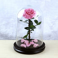 Every Love 9-10 Cm Rose Head Wholesale Hot Selling the High Quality Natural Preserved Rose Flower in Glass Dome for Valentine
