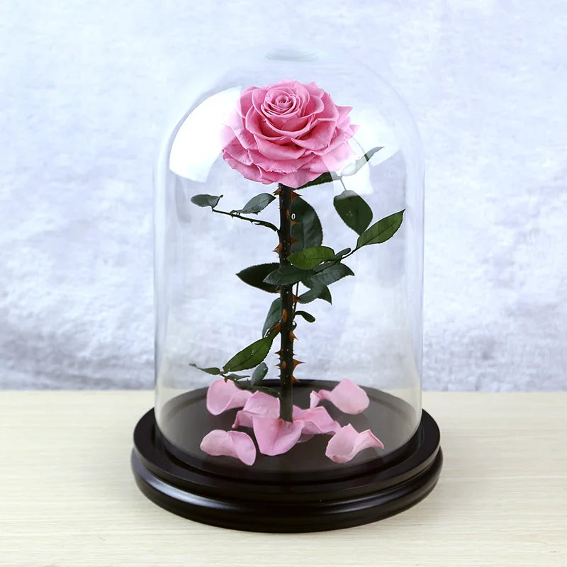 Every Love 9-10 Cm Rose Head Wholesale Hot Selling the High Quality Natural Preserved Rose Flower in Glass Dome for Valentine