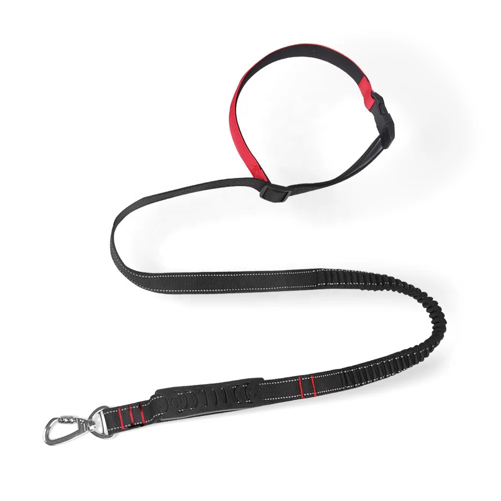 Multifunctional Pet Dog Leash for Walking Jogging Hiking Running Bungee Hands Free Running Dog Leash