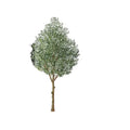 Wholesale Customizable Indoor Artificial Olive Tree Real Touch Faux Plastic Plant for Home Garden Decoration Good for Outdoor