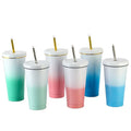 Mikenda Wholesale 17oz 500ml Sublimation Blanks Stainless Steel Water Bottle Metal Stainless Steel Straw Mug