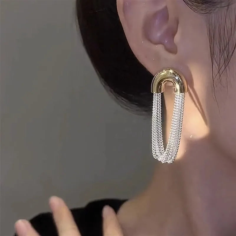 SC 2024 Unique Oval Curved Metal Chain Earrings S925 Silver Needle Stud Earrings Gifts for Women